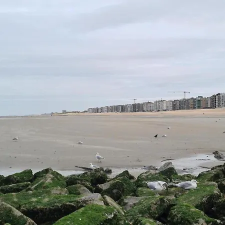 In For 6 Person Appartement Coxyde
